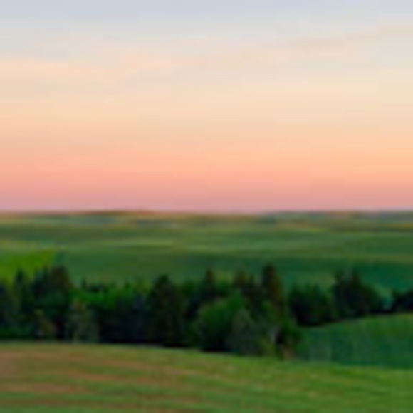 Meet your Posher, Abirami - Picture 1 of 1